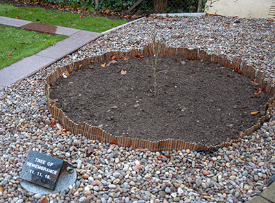 Tree of Remembrance